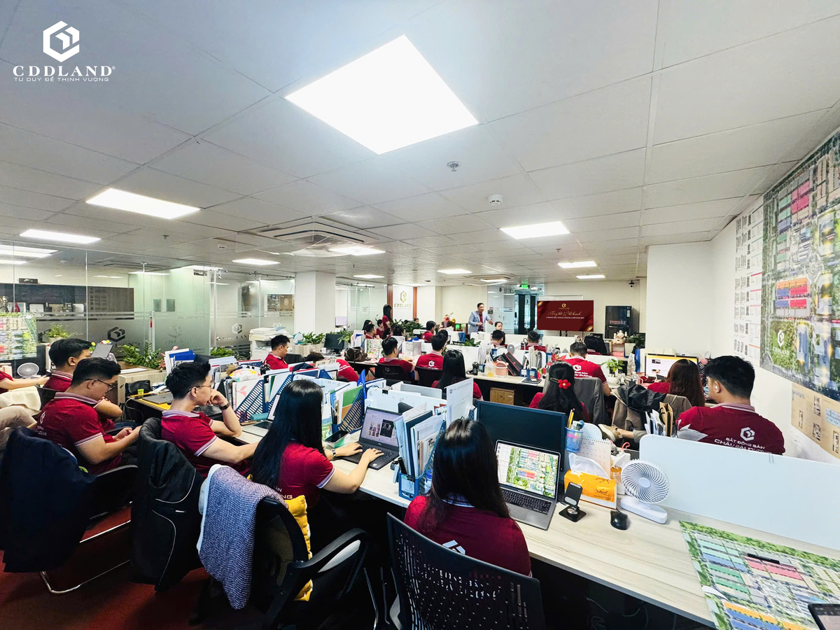 Châu Đại Dương tổng kết 6 tháng đầu năm